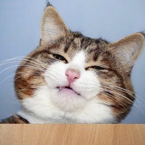 Meet your Posher, Carrie